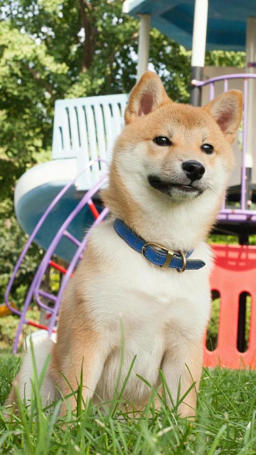 :ԪȡŰݺʹο